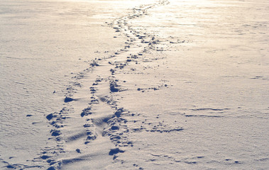 Footsteps on the snow