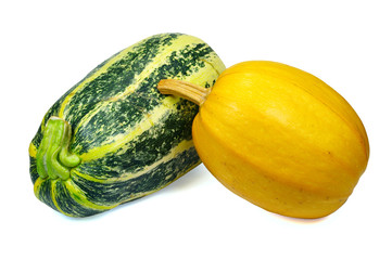 Squash and pumpkin