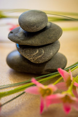 spa wellness and beauty, black stone and pink flowers