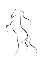 abstract horse © Lyudmyla