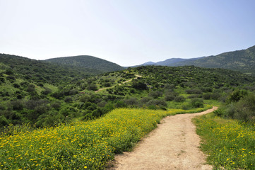 Fototapeta na wymiar Hiking trail in Upper Galilee, Israel.
