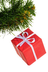 decorated christmas tree