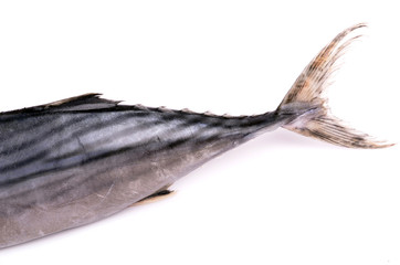 tail of a fish