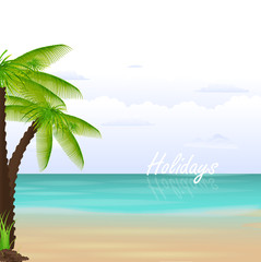 Fototapeta na wymiar Palm Tree On Exotic Beach
