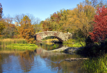 Naklejka premium Central Park NYC