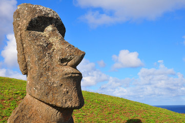 Solitary Moai on Easter Island - obrazy, fototapety, plakaty