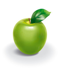 illustration of green apple