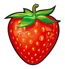 illustration of strawberry