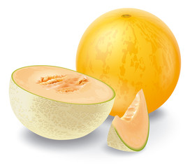 illustration of melon - obrazy, fototapety, plakaty