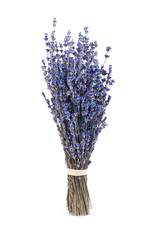 bunch of dry lavender isolated on white