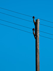 Old telegraph pole