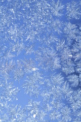 Evening Blue Frost Pattern