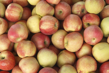 Apples