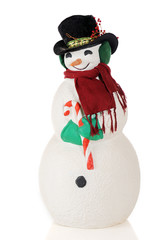 Full-Length Snowman Portrait