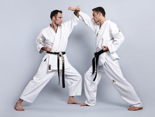 Karate vs Taekwondo, Partnertraining 04 - 36068940