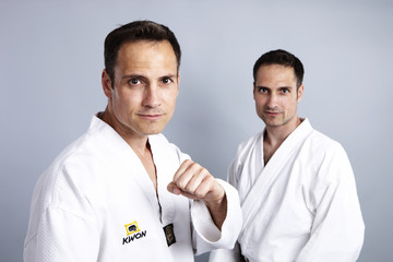 Karate vs Taekwondo, Gegen&uuml;berstellung 3