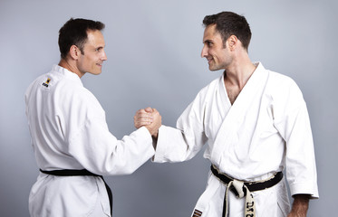 Karate vs Taekwondo, Gegenüberstellung 4