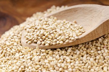 Quinoa grain