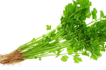 Chinese Celery Isolated On White Background
