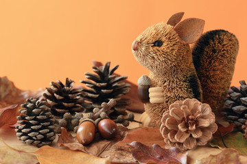 Happy Squirrel in Autumn © ayusloth