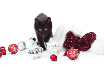 black kitten with christmas ball ornaments and santa hat