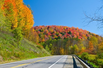 Obraz premium Scenic Fall drive on Route 6 in Pennsylvania