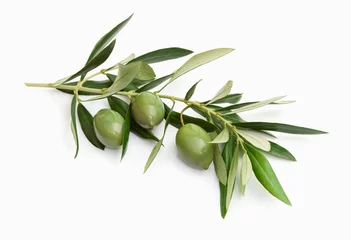 Gardinen Olive © Antonio Gravante