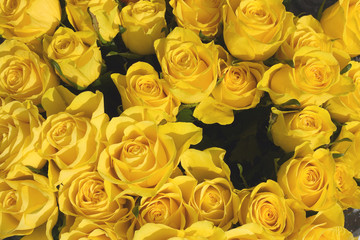 big bunch of multiple pink roses of a bride