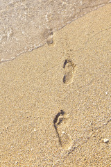 Fototapeta na wymiar ślady na plaży w piasku