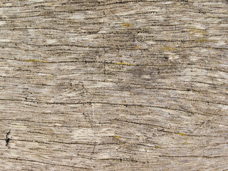 Wood texture IV
