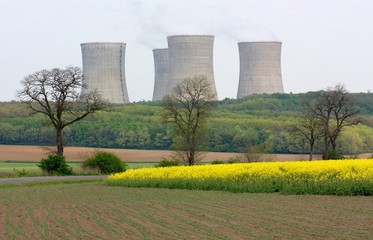 Nuclear power plant