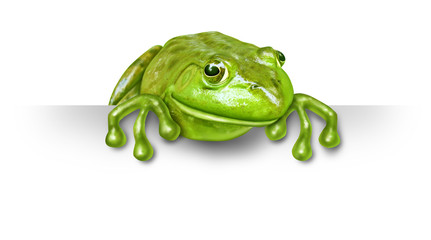 Green frog with a blank sign