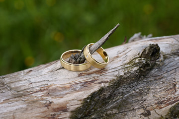 ringe eheringe gold baumstamm