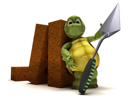 Tortoise with bricks and cement trowl