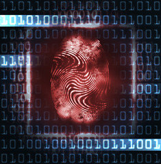 illustration of the fingerprint and digits