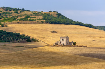 Between Puglia and Basilicata (Italy): Country landscape - obrazy, fototapety, plakaty