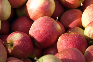 Äpfel