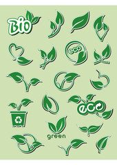 Set of abstract green leaf, vector graphics