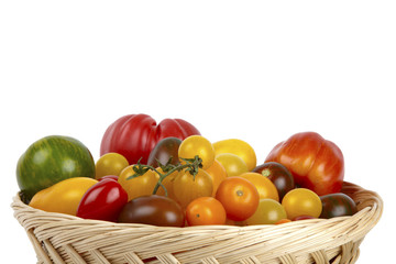 Viele Bio-Tomaten im Korb / Many organic tomatoes in the basket