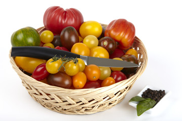 Viele Bio-Tomaten im Korb / Many organic tomatoes in the basket