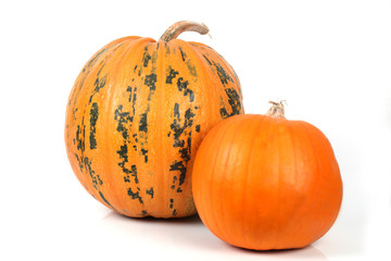 Ölkürbis und Hokaido