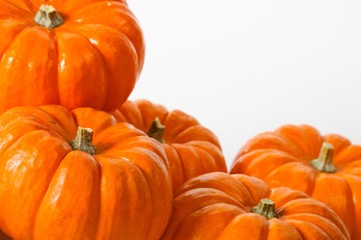 Close up composition of pumpkins on a white background.