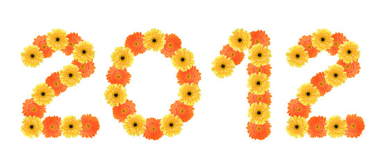 Year 2012 created by daisy flowers.