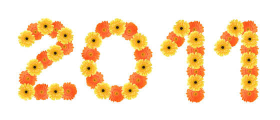 Year 2011 created by daisy flowers.
