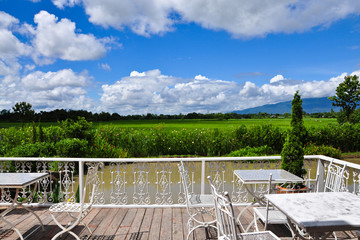 Beautiful view of rice paddy field in a rural weekend villa, Nor