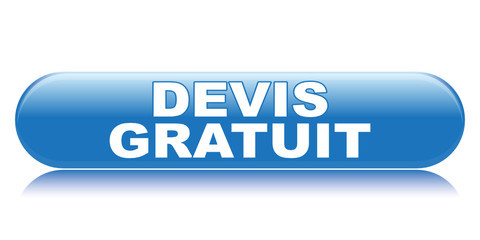 DEVIS GRATUIT ICON