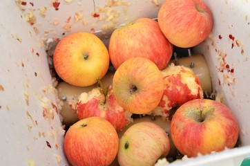 faire de vin de pommes