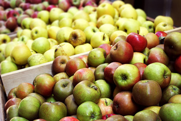 Apples