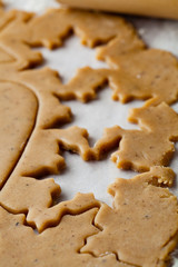 Gingerbread dough