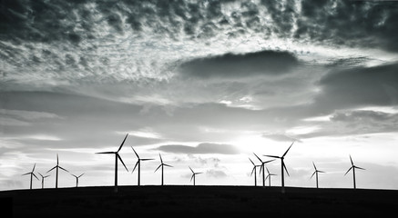 Silhouettes of wind turbines on a hill against dramatic clouds before the storm
